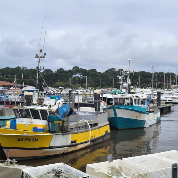france/nouvelle-aquitaine/capbreton/port
