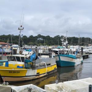 france/nouvelle-aquitaine/capbreton/port