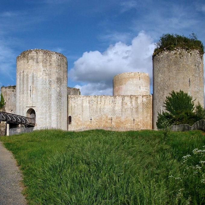france/nouvelle-aquitaine/chateau-du-coudray-salbart