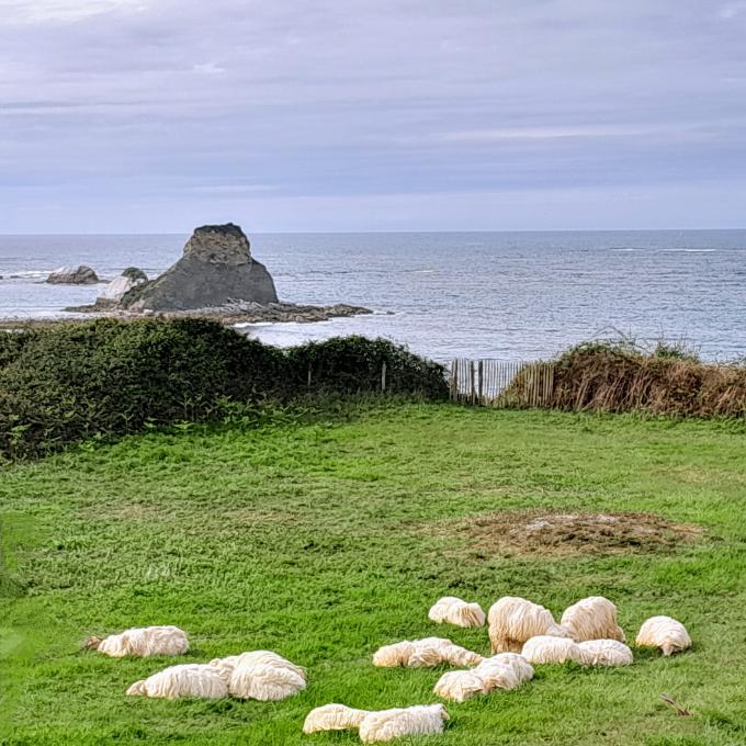 france/nouvelle-aquitaine/corniche-basque