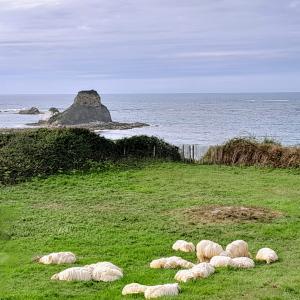 france/nouvelle-aquitaine/corniche-basque