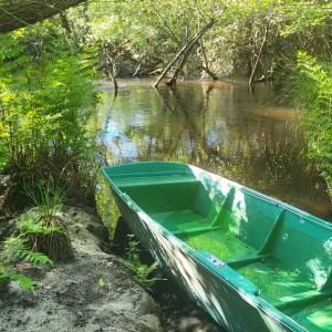 france/nouvelle-aquitaine/courant-d-huchet/