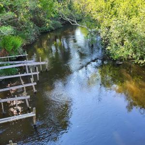 france/nouvelle-aquitaine/courant-d-huchet/