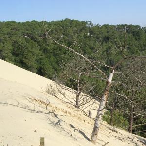 france/nouvelle-aquitaine/dune-du-pilat