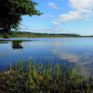 france/nouvelle-aquitaine/etang-de-biscarosse