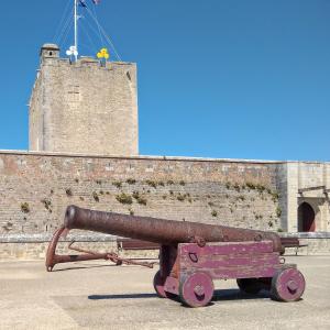 france/nouvelle-aquitaine/fouras/fort-vauban