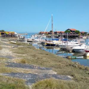 france/nouvelle-aquitaine/gujan-mestras