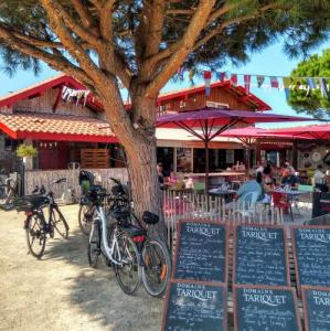 france/nouvelle-aquitaine/gujan-mestras