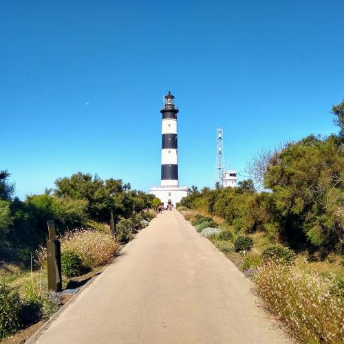 france/nouvelle-aquitaine/ile-d-oleron/phare-de-chassiron