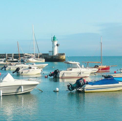 france/nouvelle-aquitaine/la-flotte