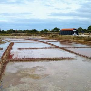 france/nouvelle-aquitaine/le-grand-village-plage