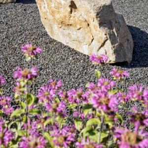france/nouvelle-aquitaine/le-jardin-de-colette