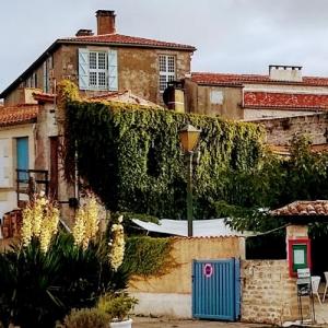 france/nouvelle-aquitaine/mornac-sur-seudre