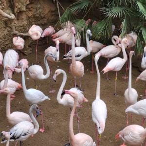 france/nouvelle-aquitaine/moulin-de-poyaller