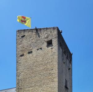 france/nouvelle-aquitaine/oloron-sainte-marie