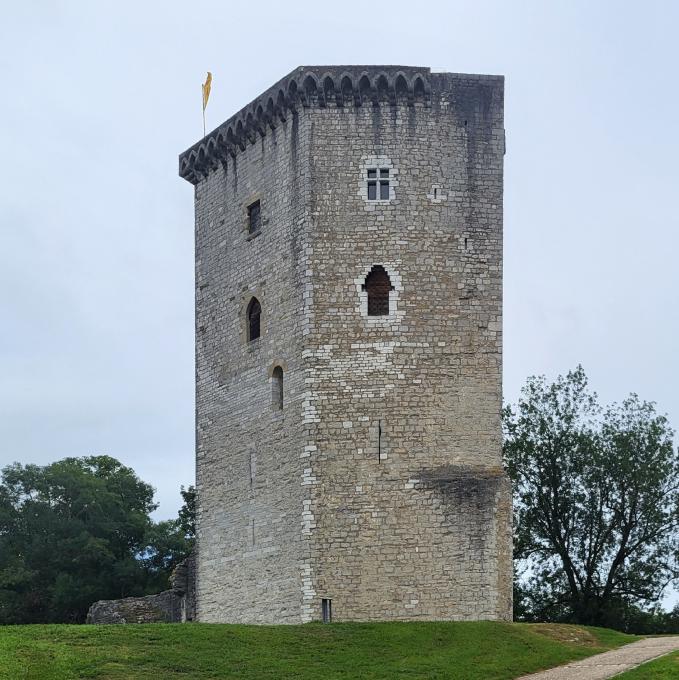 france/nouvelle-aquitaine/orthez/tour-moncade