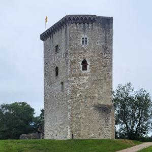 france/nouvelle-aquitaine/orthez/tour-moncade