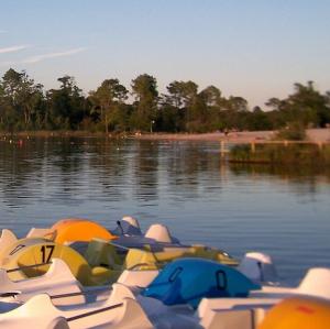france/nouvelle-aquitaine/parc-naturel-regional-des-landes-et-gascogne/lac-de-lamothe