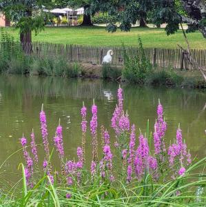 france/nouvelle-aquitaine/pau/parc-beaumont