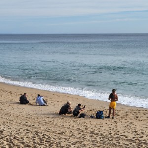 france/nouvelle-aquitaine/plage-du-cap-de-l-homy