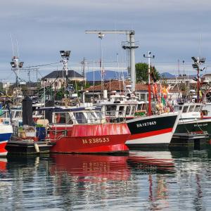 france/nouvelle-aquitaine/saint-jean-de-luz/port-de-peche