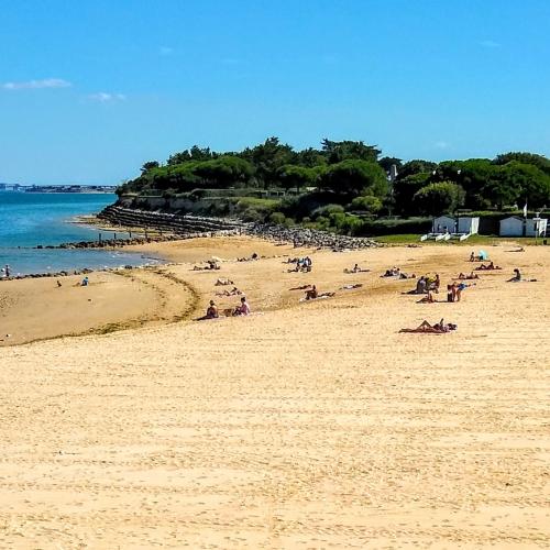 france/nouvelle-aquitaine/saint-martin-de-re/plage-de-la-cible