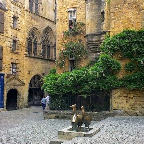 france/nouvelle-aquitaine/sarlat-la-caneda/place-du-marche-aux-oies