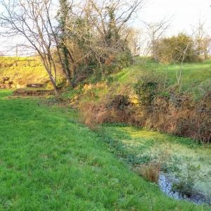 france/nouvelle-aquitaine/thouars/reserve-naturelle-nationale-du-toarcien