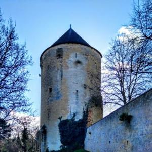 france/nouvelle-aquitaine/thouars/tour-du-prince-de-galles