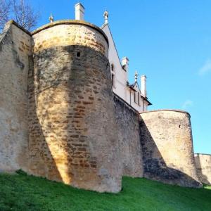 france/nouvelle-aquitaine/thouars/tour-du-prince-de-galles