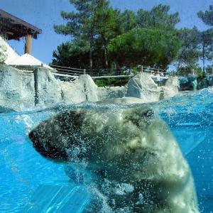 france/nouvelle-aquitaine/zoo-de-la-palmyre