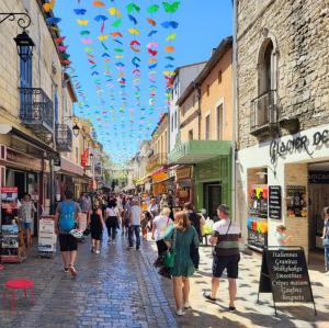 france/occitanie/aigues-mortes