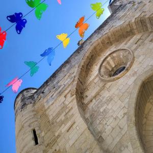 france/occitanie/aigues-mortes/eglise-notre-dame-des-sablons