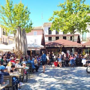 france/occitanie/aigues-mortes/place-saint-louis