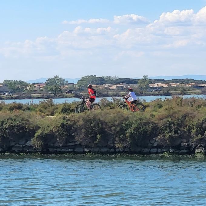 france/occitanie/aigues-mortes/route-du-mole