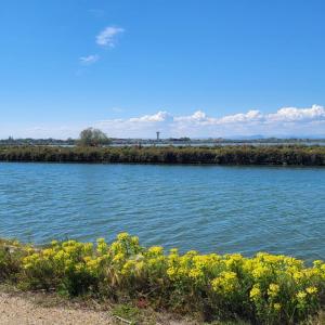 france/occitanie/aigues-mortes/route-du-mole