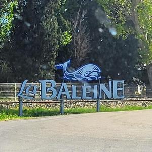 france/occitanie/aigues-mortes/salin-la-baleine-bleue