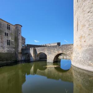 france/occitanie/aigues-mortes/tour-de-constance