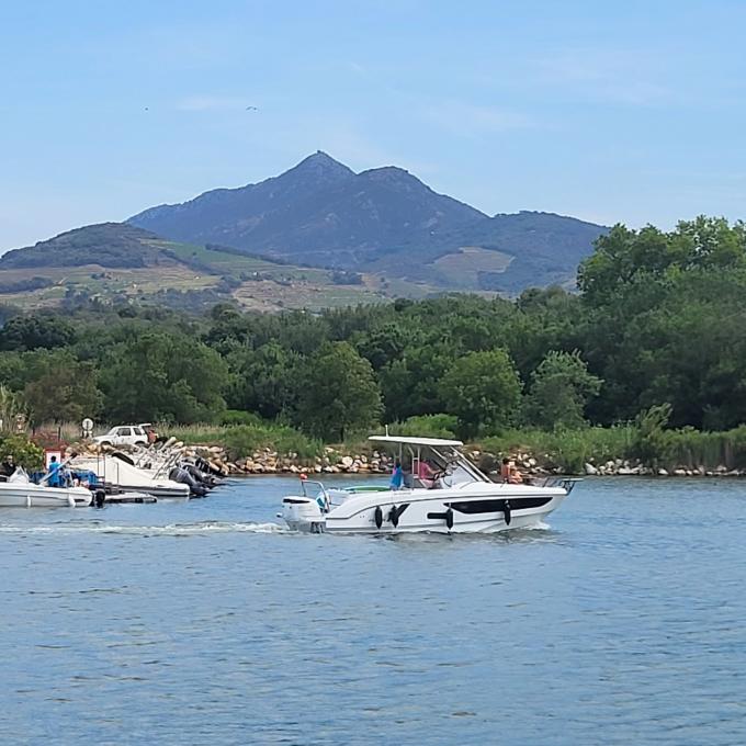 france/occitanie/argeles-sur-mer