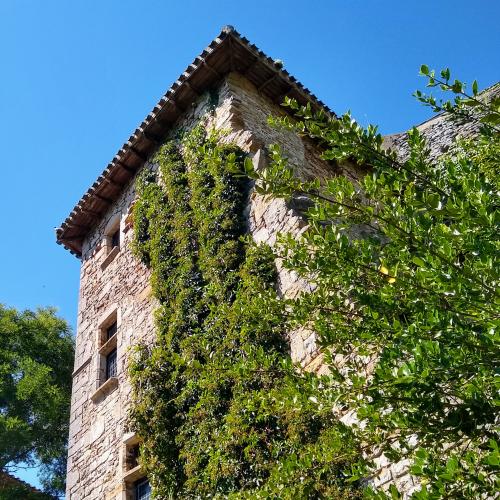 france/occitanie/bruniquel/maison-du-grand-argentier