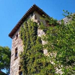 france/occitanie/bruniquel/maison-du-grand-argentier