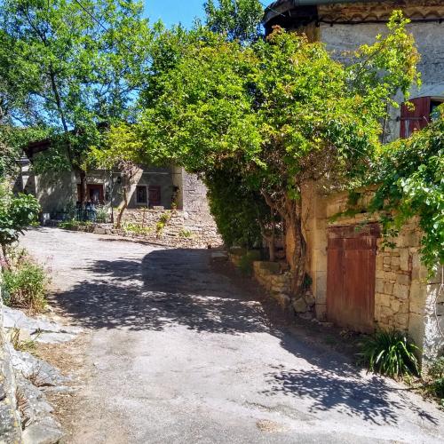 france/occitanie/bruniquel/place-des-oules