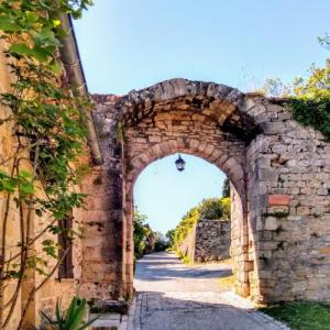 france/occitanie/bruniquel/porte-neuve