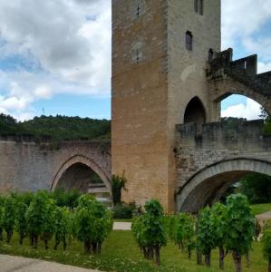 france/occitanie/cahors/pont-valentre
