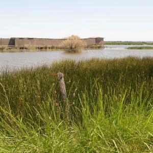 france/occitanie/camargue-gardoise