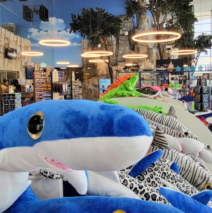 france/occitanie/canet-en-roussillon/aquarium-oniria