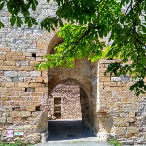 france/occitanie/castelnau-de-montmiral/porte-des-garrics