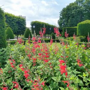 france/occitanie/castres/jardin-de-l-eveche