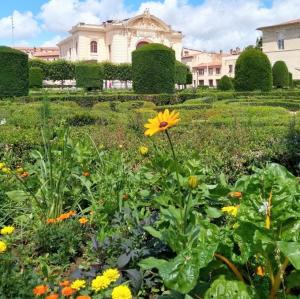 france/occitanie/castres/jardin-de-l-eveche