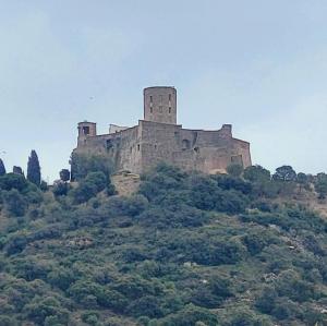 france/occitanie/collioure